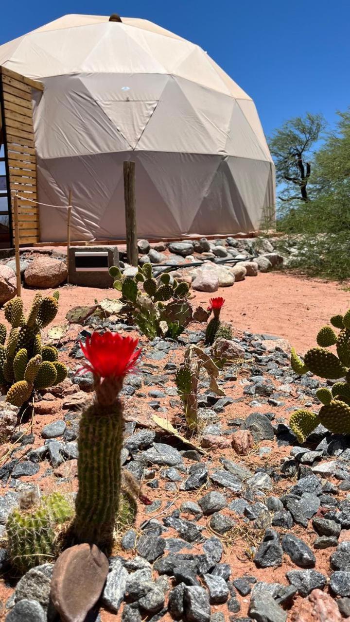 Luxury tent Domos Del Viento